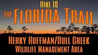 Hike #10 - Florida Trail - Herky Huffman/Bull Creek WMA
