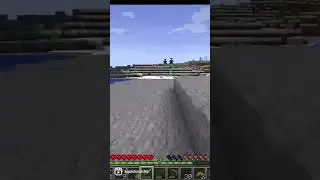 Minecraft with an Adorable Bird Mod