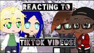 Mlb Reacts To Tiktok Video / gacha club / miraculous ladybug / gacha life