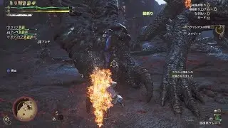 並ハンターによるゴグマジオス　大剣　ソロ（サポハンあり）【20分58秒】