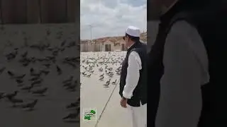 Senior Pakistani Politician Sheikh Rasheed Ahmad In Madina Tul Munawara || #updatepakistan