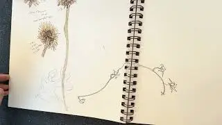 Inking a pencil drawing| Class 2 line and wash 