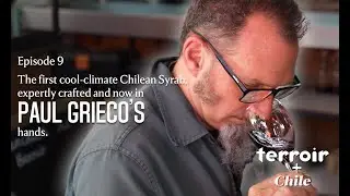 Terroir+Chile - Matetic Vineyards (Ep.09) | Wines of Chile