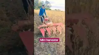 mini harvester #farmar #crop ##harvesting