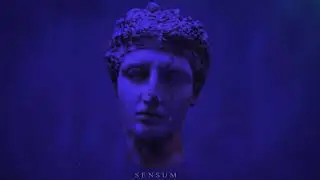 SENSUM - The Deep