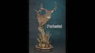 Which mount is your favorite? #hunting #deerhunting #fishing #outdoors