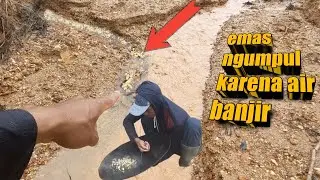 Sungai emas Indonesia ||  mendulang emas dapat banyak #pencariemastradisional #pendulangemas