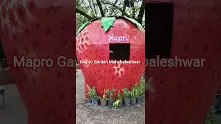 Mapro#Garden#mahabaleshwarhillstation #cute#krisha😍