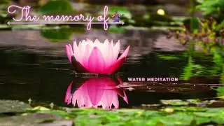 Water Meditation | Nothing is softer or more flexible than water, yet nothing can resist it