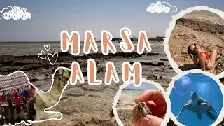 TRAVEL VLOG #14: All Inclusive v Marsa Alam Hilton, potápění se želvami