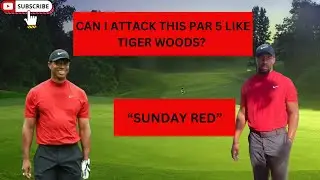 Can I Attack this Par 5 at Lincoln Park Golf Course like TIGER WOODS? (Single Hole Vlogs)