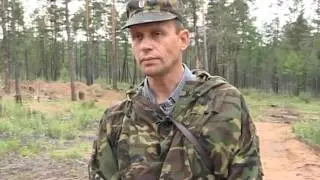 В Тынде молодой медведь раскапывает могилы ...