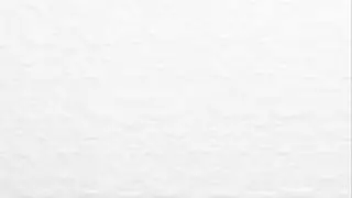 Pinzon Avalon Matelasse 100-Percent Cotton Jacquard FullQueen Coverlet White