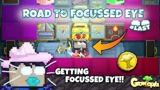 AKHIRYA!! DanangDanzo Beli Focussed Eye!! | RTFE #FINAL!!