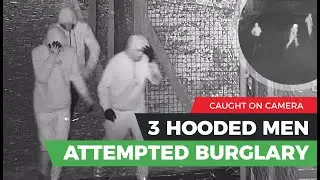 Attempted burglary in the UK caught on camera | Watch CCTV monitoring station scare off intruders