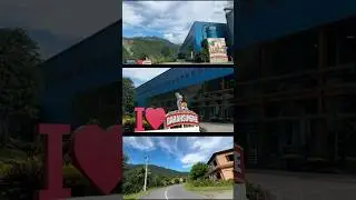 Barahsinghe|| Brewery Factory|| Kurintar|| Nepal|| Brikshya Chhetri #बृshya #barasingha #brewery