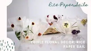 Prettiest Translucent Rice Paper Sails, Edible Florals, Rice Paper Tutorial, Cake Topper idea
