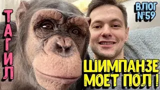 Как мы готовились к премьере в Тагиле / Мальта моет полы / Фрагменты репетиции