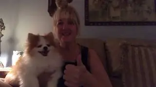 Small dog food &ldquo;wet or dry&rdquo; Pomeranian puppy live stream