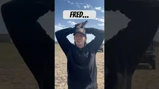 Откуда взялся Фред?