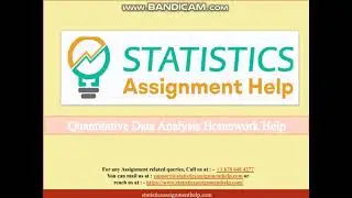Quantitative Data Analysis Assignment Help