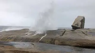 Bicheno Blowhole - Tasmania 2022