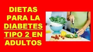 Dieta para Diabetes Tipo 2 en Adultos - Comidas para Diab&eacute;ticos tipo 2