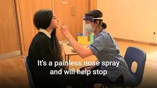 Child Flu Vaccine - Primary and Secondary Schools