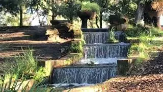 Morning Walk at Piney Lakes Reserve | Perth Life and Living WA