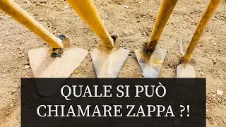 Zappa: ATTENZIONE nuoce gravemente alla salute