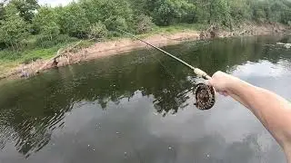 Ударь и удержи двузначный усач на поплавке