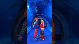 🌟 Незабываемые выходные для всей семьи в Magic City!
