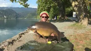 Carp Killers - Balkan B&uuml;ffel (Slowenische Sternstunden) Teaser II