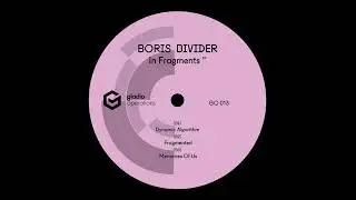 Boris Divider - Dynamic Algorithm