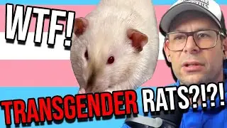 YOUR TAX Money Is Spent On Transgender Rats?!?!?