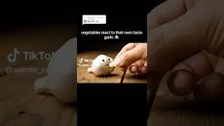 Vegetable React to their own taste #ai #viral #shorts #fypシ゚#viral #asmr #satisfying #asmrforsleep
