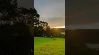 Melbourne Australia 🇦🇺 Sunset 🌅 kangaroo 🦘 #nature #sunset #australia