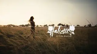 Halcyon — a Sunlit fashion film on Nikon Z6III in N-RAW 4K