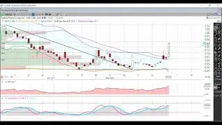 NAKD 6-2-21 Analysis