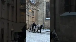 When the city slows down and moves to the rhythm  #vienna #travel  #shortvideo #winter #shorts #2026