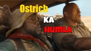 Jumanji:The Next Level -Ostrich Attack Scene | Dwayne Johnson, Kevin Hart | Hindi Dubbed Action Clip