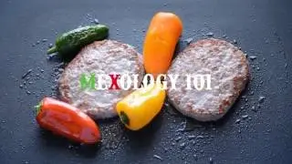 mexology 101