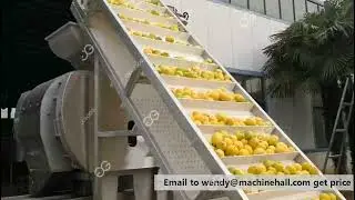 Citrus Processing Equipment Citrus Juice Processing