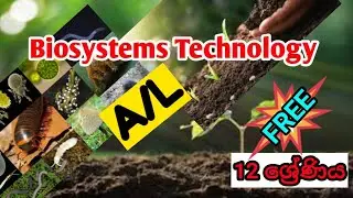 Vision AgriBST , Biosystems Technology BST රචන ප්&zwj;රශ්ණ වැඩසටහන