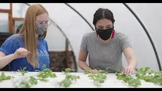 Hydroponics & Aquaponics Research - Kean University Research Days 2021