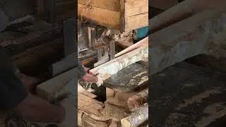 The Precision Skills of Expert Sawmill Operators A Deep Dive