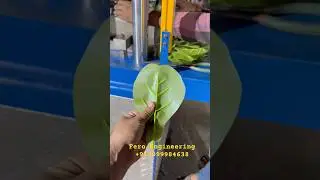 Artificial Leaves Vertical Injection Molding Machine By FeroEngineering Rajkot|Gujarat|India #LG