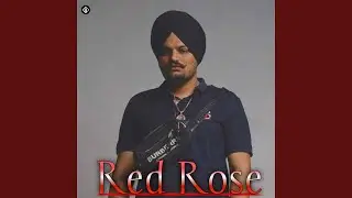Red Rose