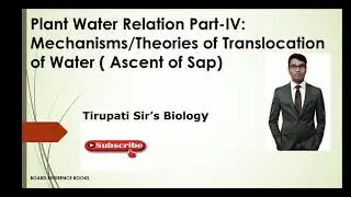 Translocation of Water( Ascent of Sap): Root Pressure Theory, Cohesion or Transpiration Pull Theory.