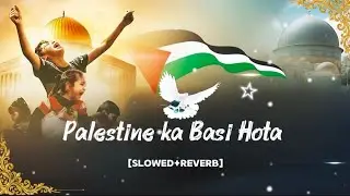 Palestine Ka Basi Hota 😢 | Emotional Islamic Lofi | Pray for Palestine